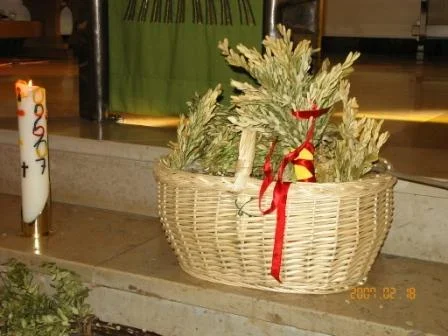 Zur Gewinnung der Asche für das Aschenkreuz wurden in der Pfarrkirche über eine Woche die Palmbüsche des letzten Jahres gesammelt.