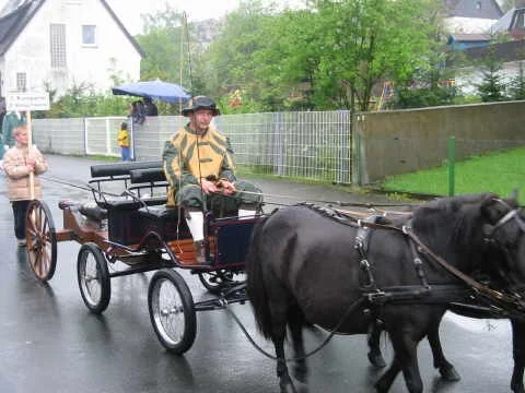 Vorderladerkanone mit Pferde-Gespann