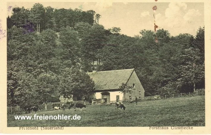 Das Forsthaus Giesmecke auf einer Ansichtskarte von 1930. Die Aufnahme zeigt den Blick von der Tallage auf das Haus. Vor dem Forsthaus weiden Kühe. Die breite Kastanienallee - nicht mehr auf dem Foto - lag rechts von dem Haus. Die Ansichtskarte wurde mir freundlicherweise von Stefan Weinand zur Verfügung gestellt.