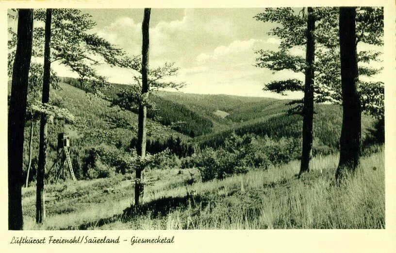 Giesmecketal, 1957