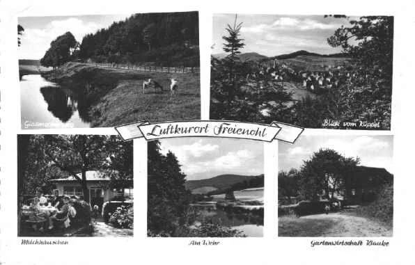 Mehrbildkarte von Freienohl, ca. 1960