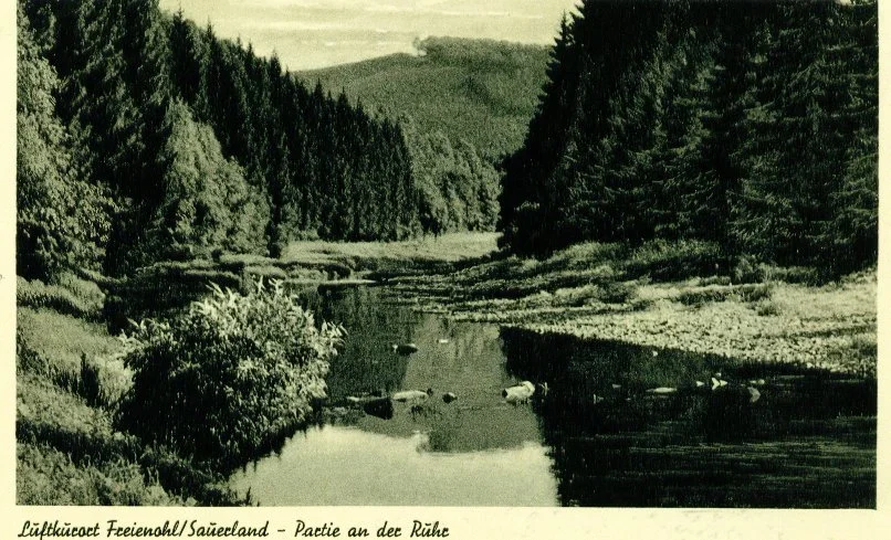 Ruhr zwischen Wildshausen und Freienohl, 1955