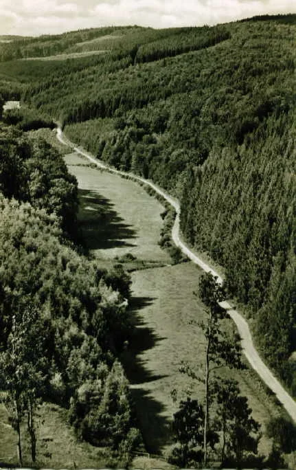 Rümmecketal