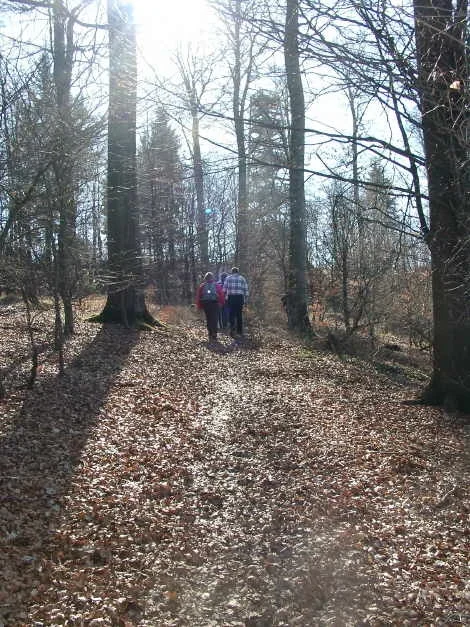 Waldspaziergang