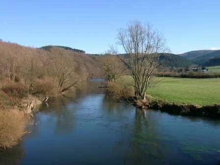 Die Ruhr bei Freienohl