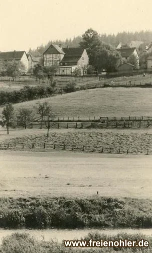 Das Katersiepen