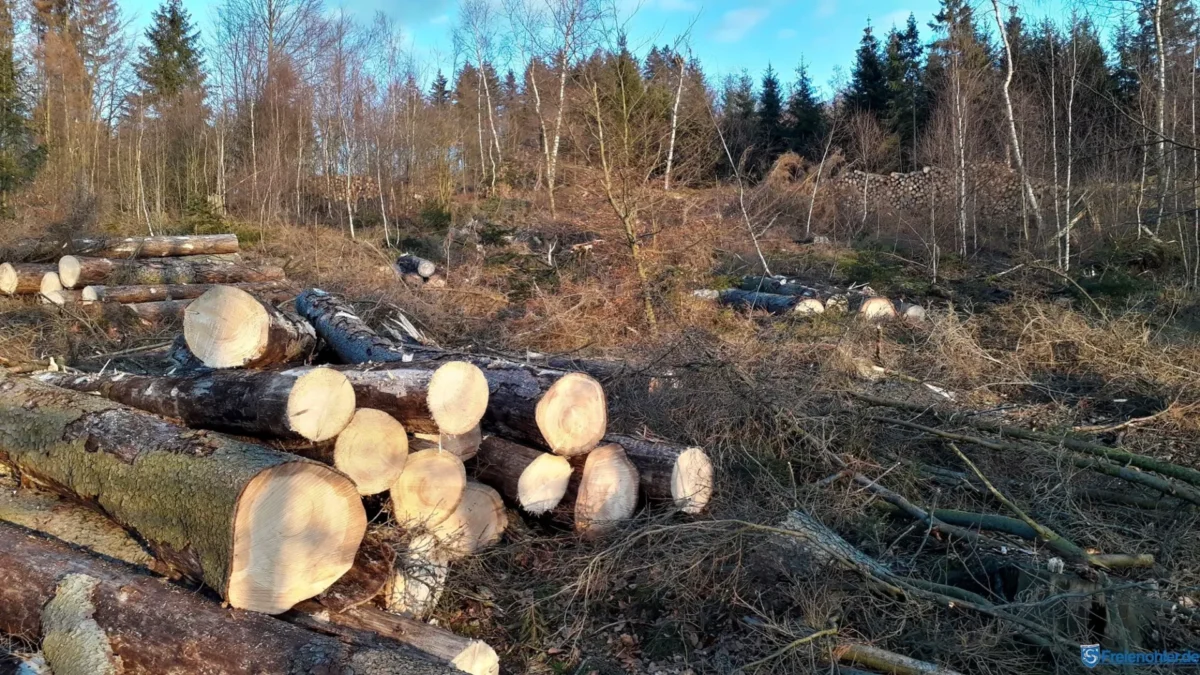 Pflanzaktion Klimawald PCE Instruments